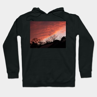 Golden hour sunset : Sunlight is magical Hoodie